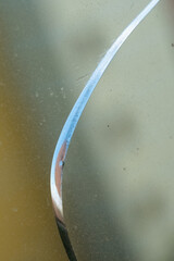 A close-up view of a crack on a glass window. The background shows blurred buildings under a clear...