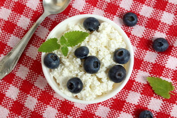 There is a white bowl of cottage cheese on a checkered tablecloth.	