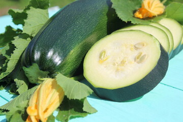 There is a fresh harvest of zucchini on the wooden table.