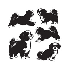 Shih Tzu Silhouettes Collection,Shih Tzu Silhouettes,Vector Toy Dog Breed,Lion Dog Shapes,shih tzu vector