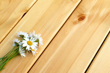 Chamomile flowers lie on a wooden background.	