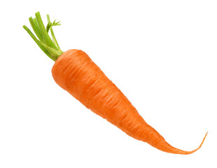 Fresh Carrot isolated on white.