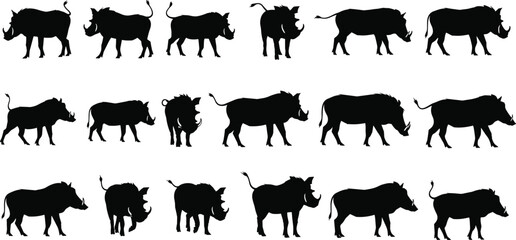 Wild boar silhouette set, animal profiles, black wildlife icons, boar poses, vector collection, nature illustration, hunting design, isolated white background