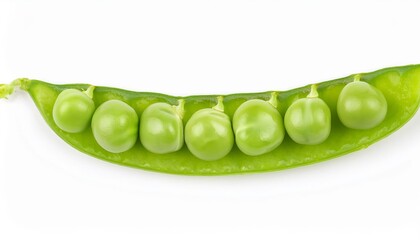 Fresh green peas opening a healthy pea pod