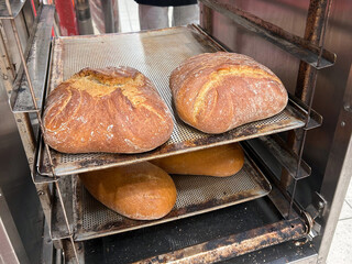 Freshly baked artisan bread on metal bakery rack