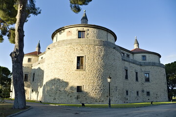 Villaviciosa de Od&oacute;n Castle, Spain