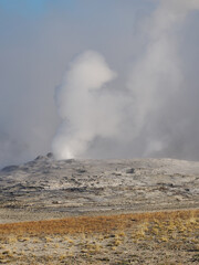Thick Steam Plume from Active Geyser in Yellowstone