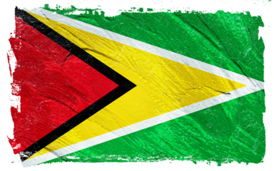 A textured rendering of a national flag with vibrant red, yellow, and green sections, with stylistic brushstrokes creating a distressed visual effect on a