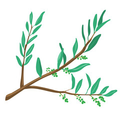 オリーブの木になる小さいオリーブの実