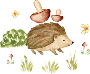 Cute Hedgehog with Mushrooms Watercolor Illustration