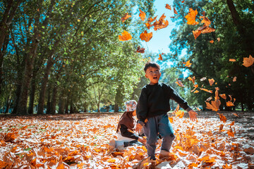Children are playing joyfully in a sunny park, surrounded by colorful autumn leaves