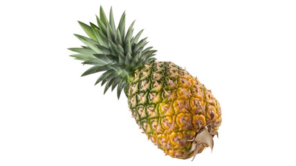 Pineapple fruit isolated on transparent background