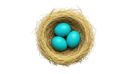 Three robin eggs in a nest PNG isolated on transparent background, spring symbol for Easter and new beginnings