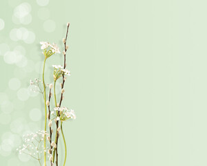 Spring Background with Willow Branches And Delicate Gypsophila On Pastel Green Backdrop For Easter Spring Celebrations Seasonal Decor Religious Holidays And Floral Designs With Copy Space