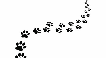 Black paw prints trail upwards on white background