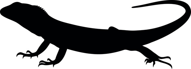 Lizard Silhouette Vector Isolated Reptile Clipart for Design