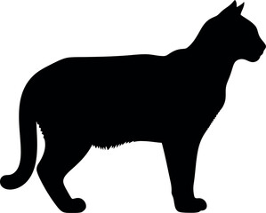 Black Cat Silhouette Vector Isolated on White Background