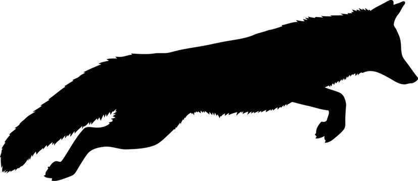 Jumping Fox Silhouette Vector Isolated on White Background