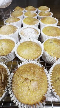 Vertical video social media - Closeup of a hand tapping a small sieve to dust coat rows of freshly baked, homemade, filled muffins with icing sugar.