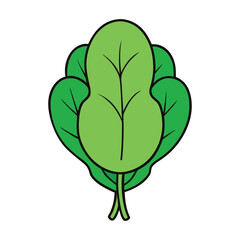 Fresh green spinach leaves rich in vitamins and minerals, perfect for salads, smoothies, and cooking. A healthy, natural vegetable symbolizing freshness, nutrition, and vitality.
