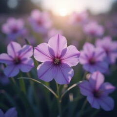 Detailed shot of a lavender flower blooming in a field under gentle sunlight