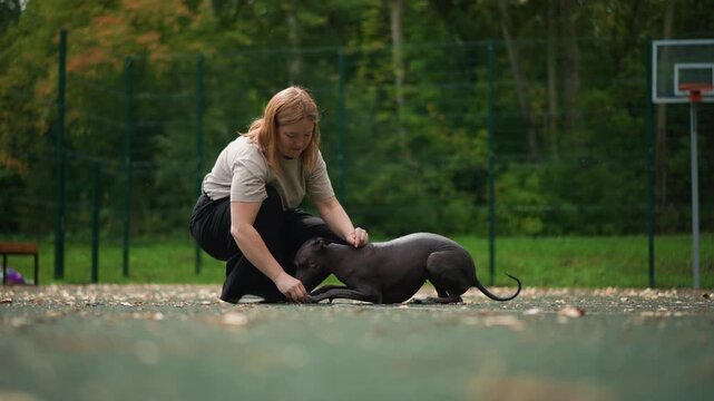 white woman kneeling with dog on outdoor basketball court practicing gentle obedience and trustbuilding with rescued hairless dog, autumn trees and soft sunlight in background, hands offering treats