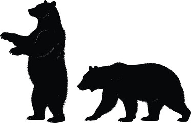 Set of Two Bear Silhouettes, Wild Grizzly or Black Bear Standing and Walking Poses, Powerful Animal Profile and Movement Vector Shapes, Wildlife Mammal Cad Drawing Flat Vector Illustration