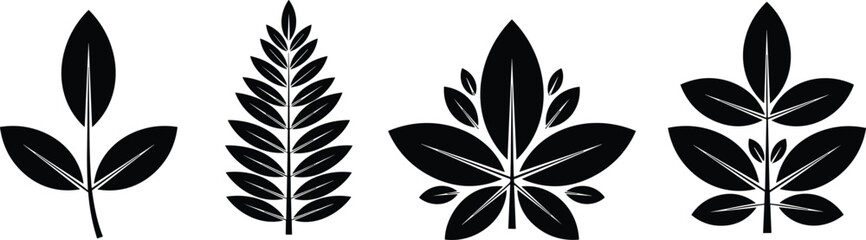 Leaf silhouette vector illustration set, botanical plant foliage icons, black nature symbols, minimalist organic design elements collection