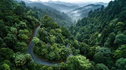 Aerial view of winding road through lush green tropical forest with misty atmosphere, scenic mountain highway surrounded by dense jungle and natural landscape