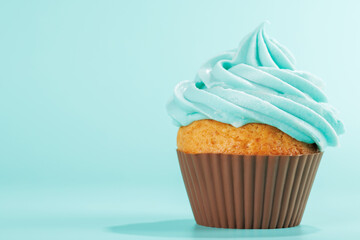 Festive cupcake topped with swirled frosting
