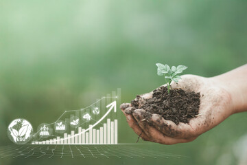 Hand holding young plant with Sustainable ESG Investment Growth Concep, representing sustainable investment and long-term environmental business strategy