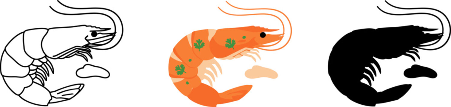 Cooked Shrimp or Prawn with Parsley Seafood Illustration