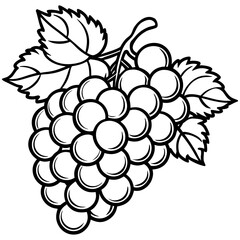 Grape Bunch with Leaves Line Art Vector Illustration