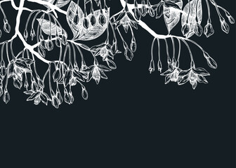 Styrax hand drawn vector illustration. Japanese snowball plant with blooming flowers sketch. Flotal background design. NOT AI generated