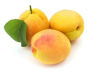 Group of three fresh ripe apricots with leaf isolated on white