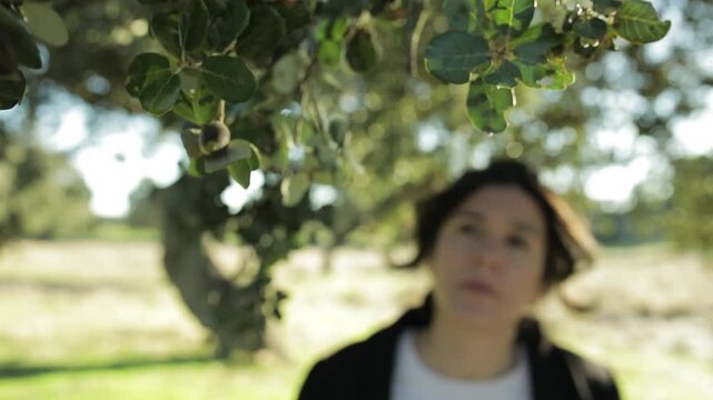Mujer pasea por un bosque de encina y coge una bellota