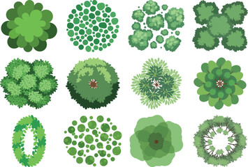 Variety of green algae and plant cells in different shapes and sizes