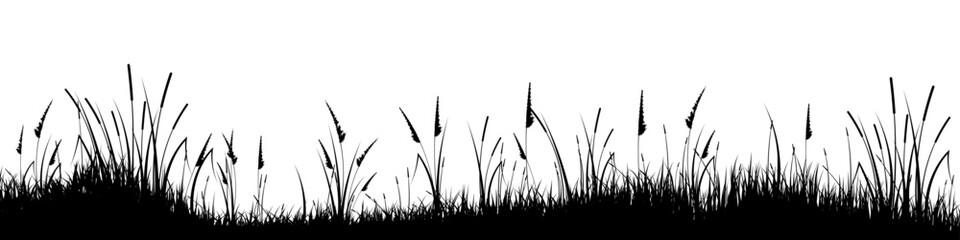 Obraz premium Meadow silhouette with grass, plants on plain. Panoramic summer lawn landscape with herbs, various weeds. Herbal border, frame element. Black horizontal banners. Vector illustration