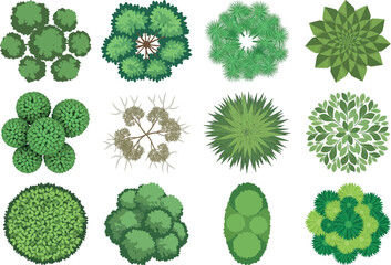 Various types of green moss and lichen growth patterns on different surfaces
