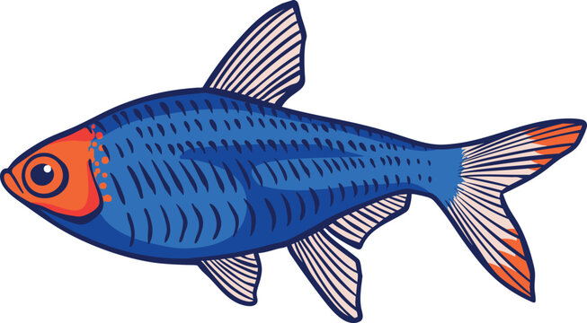 Colorful Tetra (Characidae) Illustration 2