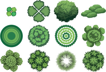 Collection of varied green moss and lichen formations