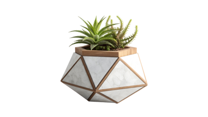Geometric Planter and Lush Succulents: A stylish geometric planter is showcasing a vibrant arrangement of succulent plants.
