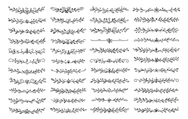 Hand Drawn Doodle Dividers Set. Botanical Flourish Ornaments, Vintage Floral Borders, and Wreath Elements for Design