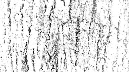 High Contrast Black and White Tree Bark Texture Overlay