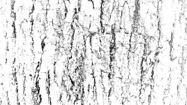High Contrast Black and White Tree Bark Texture Overlay
