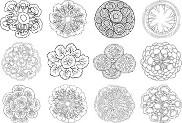 Collection of intricate floral patterns and designs in black and white