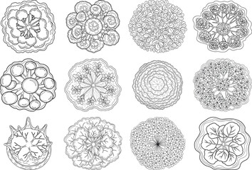 Microscopic view of various cell structures in biology