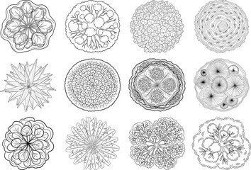 Collection of cellular structures and organisms in various stages