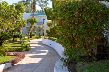 Obraz premium Scenic Pathway in Tropical Garden