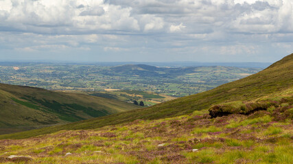 Fototapeta premium panoramic view over a vibrant grassland at the Mourne Mountains range, ireland